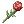 Witherless Rose